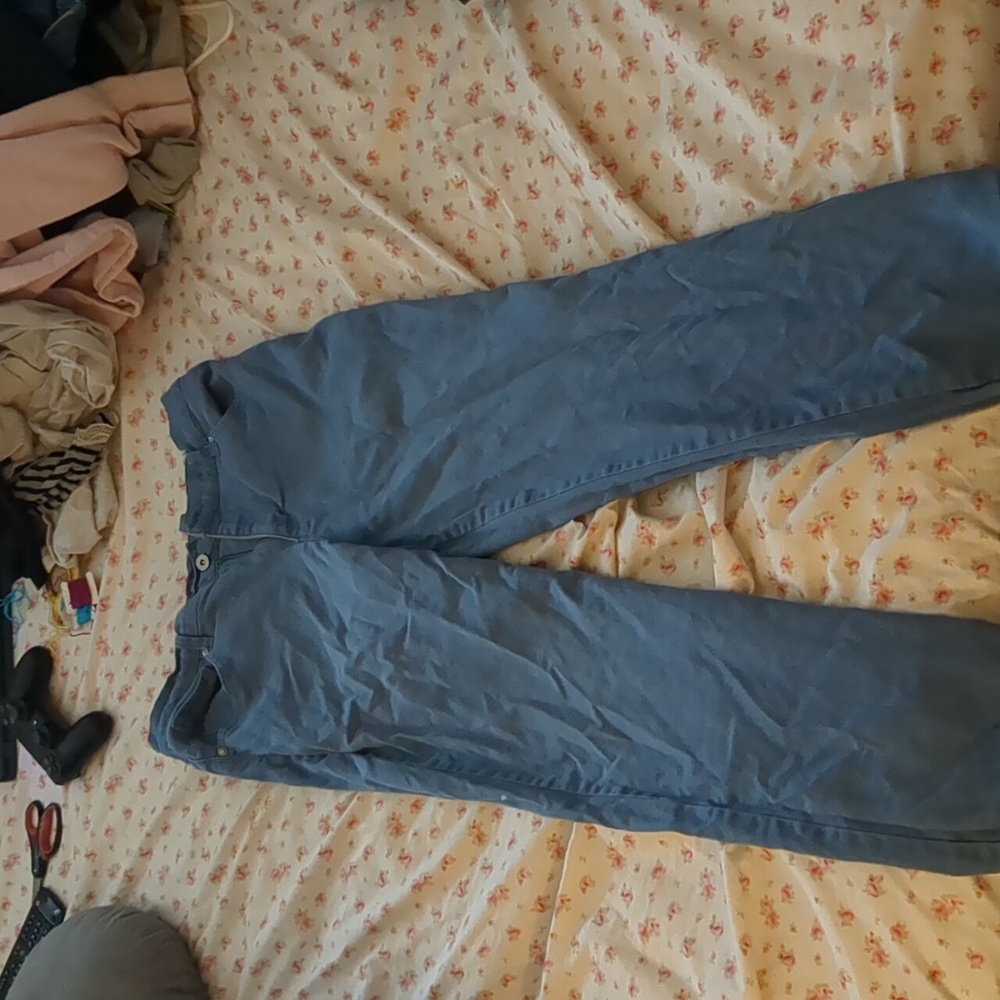 Gloria Vanderbilt pants